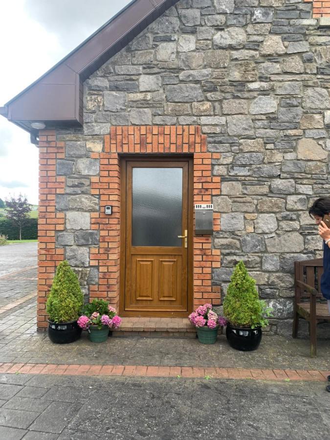 Appartement Carraig House à Cavan Extérieur photo